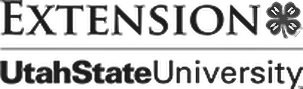 Extension-4H-Logo-enhance-4x